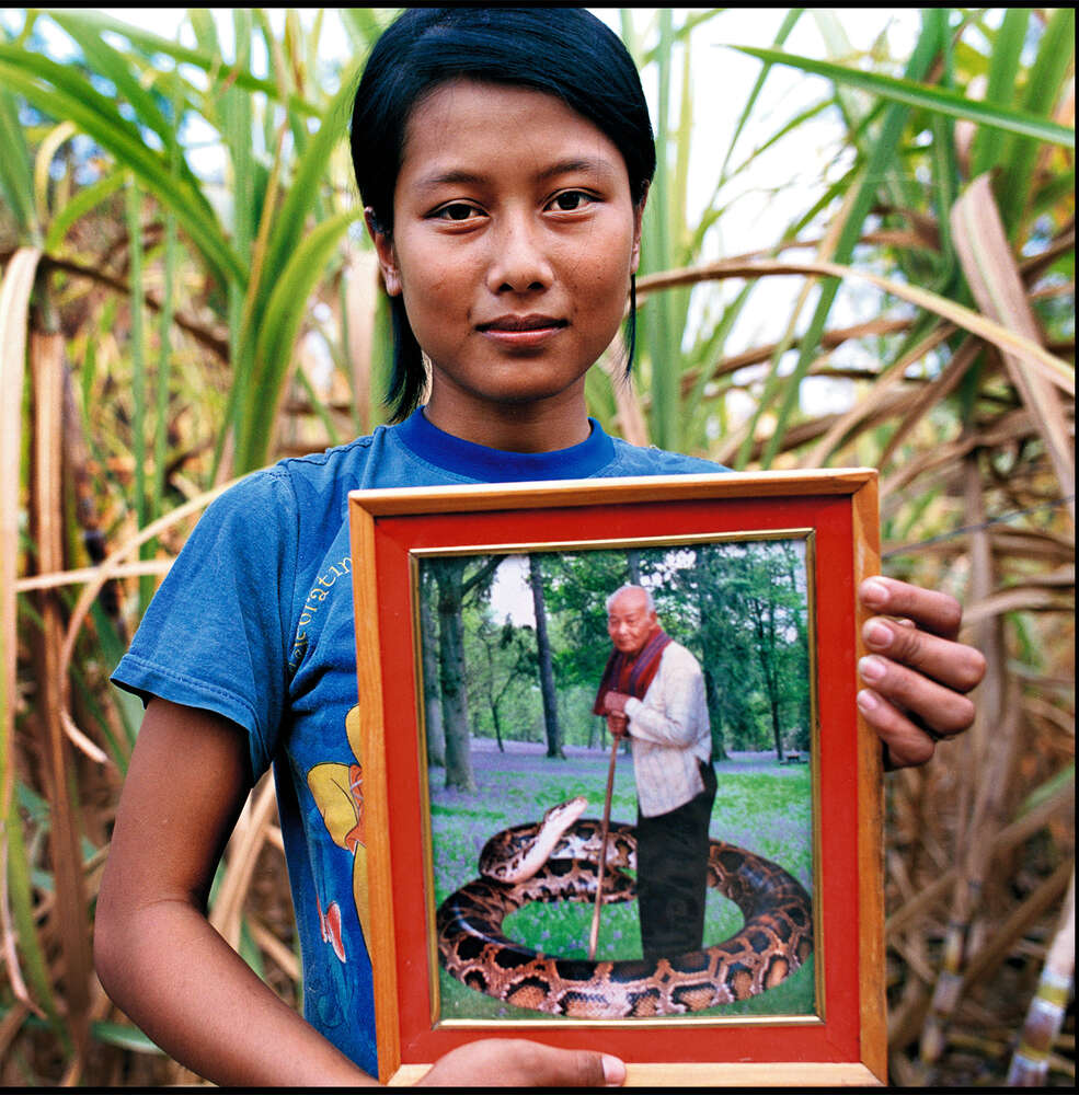 Battambang Snake
